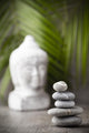 Wellness Wall Decal