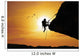 Silhouette Woman Climbing Rock Wall Decal