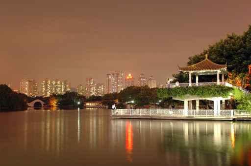 Lichee Park Night Shenzhen Wall Decal
