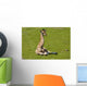 Giraffe Baby Wall Decal