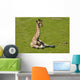 Giraffe Baby Wall Decal