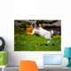 Adorable Goat Kid Jumping Wall Decal