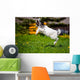 Adorable Goat Kid Jumping Wall Decal