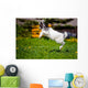 Adorable Goat Kid Jumping Wall Decal