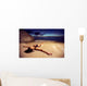 Woman Bikini Beach Sunset Wall Decal