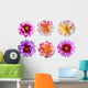 Six Dahlia Flowers Wall Decal