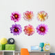 Six Dahlia Flowers Wall Decal