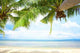 Tropic Shadow Wall Decal