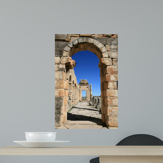 Volubilis Wall Decal