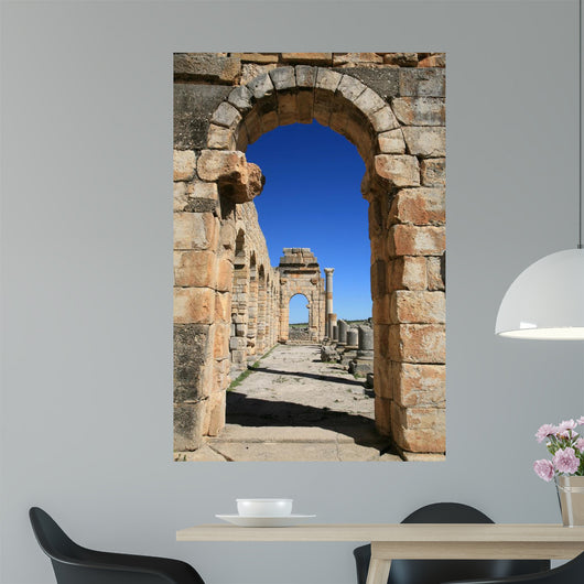 Volubilis Wall Decal