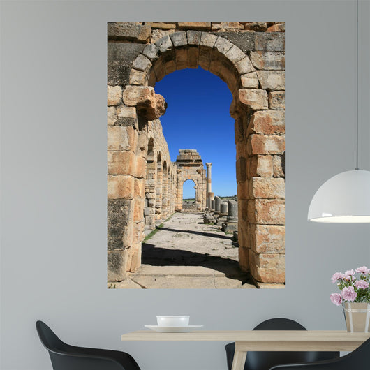 Volubilis Wall Decal