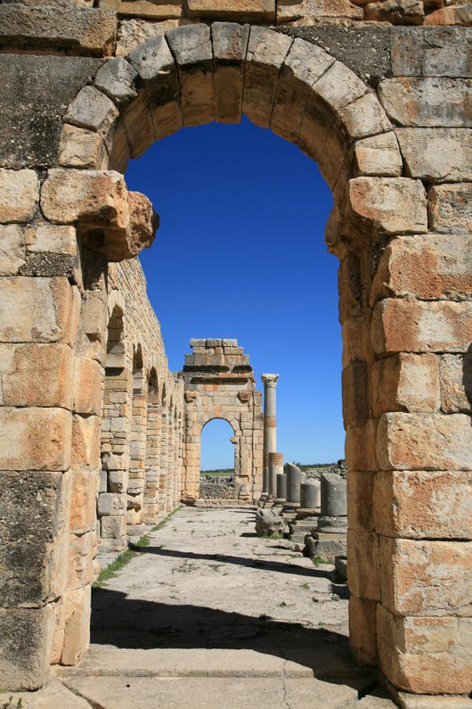 Volubilis Wall Decal