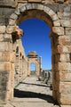 Volubilis Wall Decal