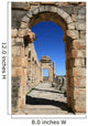 Volubilis Wall Decal