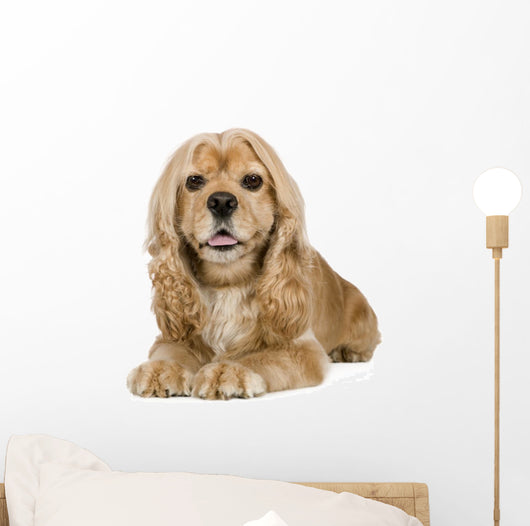 American Cocker Spaniel 3 Wall Decal