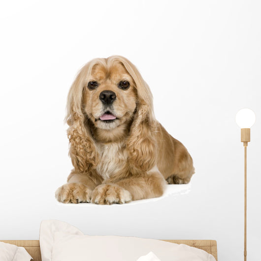 American Cocker Spaniel 3 Wall Decal