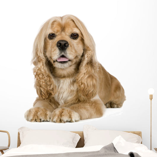 American Cocker Spaniel 3 Wall Decal