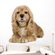 American Cocker Spaniel 3 Wall Decal