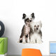 Chinese Crested Dog Powderpuff Wall Decal