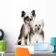 Chinese Crested Dog Powderpuff Wall Decal
