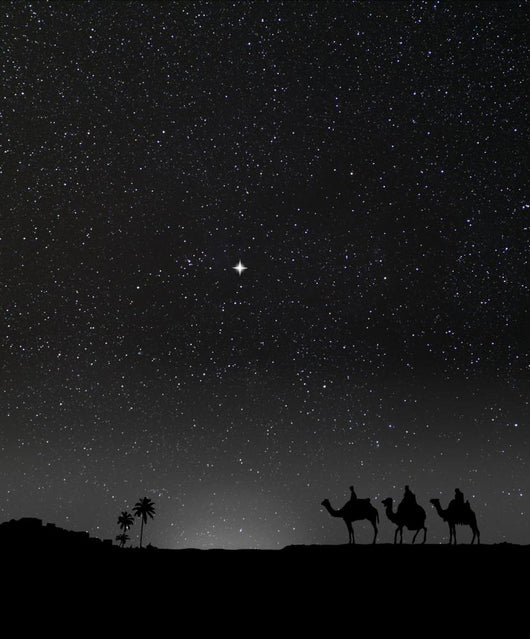 Nativity Scene with 3 Wall Decal