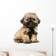Shih Tzu 10 Weeks Wall Decal