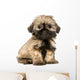 Shih Tzu 10 Weeks Wall Decal