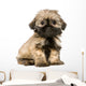 Shih Tzu 10 Weeks Wall Decal