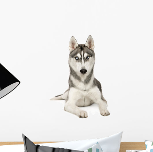Alaskan Husky Wall Decal