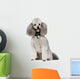 Poodle 2 Years Wall Decal