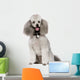 Poodle 2 Years Wall Decal