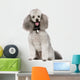 Poodle 2 Years Wall Decal