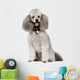 Poodle 2 Years Wall Decal