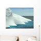 Antarctic Penguin Group and Wall Decal