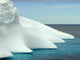 Antarctic Penguin Group and Wall Decal