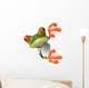 Frog with a white tshirt Wall Decal