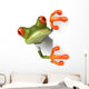 Frog with a white tshirt Wall Decal