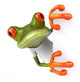 Frog with a white tshirt Wall Decal
