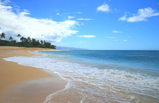 Hawaiian Beach Wall Decal