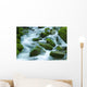 The River Wall Mural