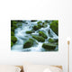 The River Wall Mural