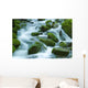 The River Wall Mural