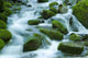 The River Wall Mural