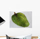 Fruit Soursop Wall Decal