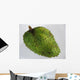 Fruit Soursop Wall Decal