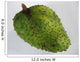 Fruit Soursop Wall Decal