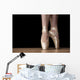 Ballet Dance Wall Decal