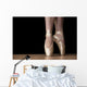 Ballet Dance Wall Decal