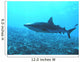 Requin Wall Decal