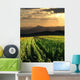 Sunset Field Grain and Wall Decal